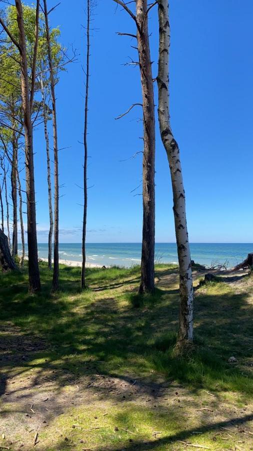 Piekny Domek Z Duzym Ogrodem Kopalino Exteriér fotografie