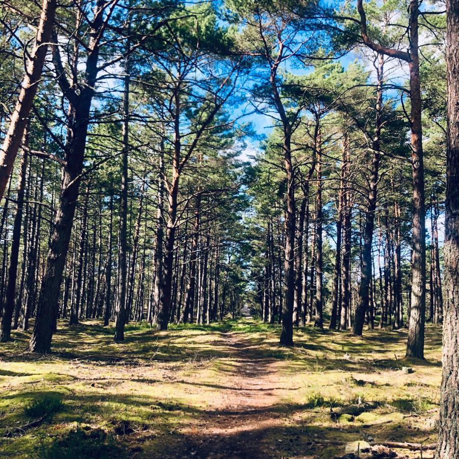 Piekny Domek Z Duzym Ogrodem Kopalino Exteriér fotografie